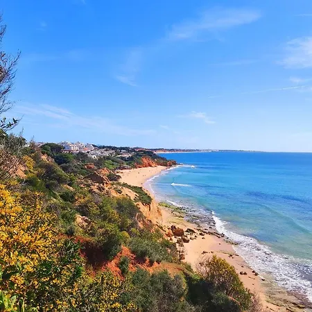 Luxury Ocean View By Be Cherish Apartment Albufeira